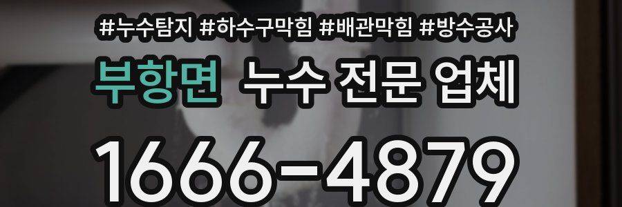 부항면 누수 전문 업체