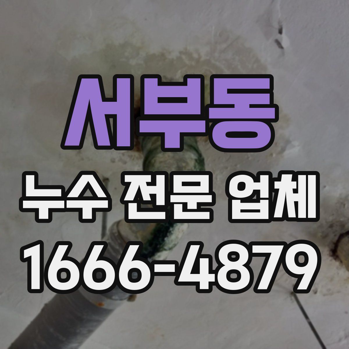 서부동 누수 전문 업체