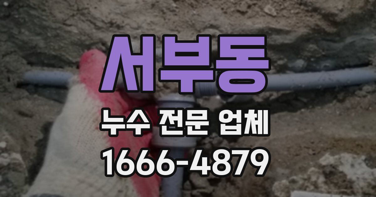 서부동 누수 전문 업체