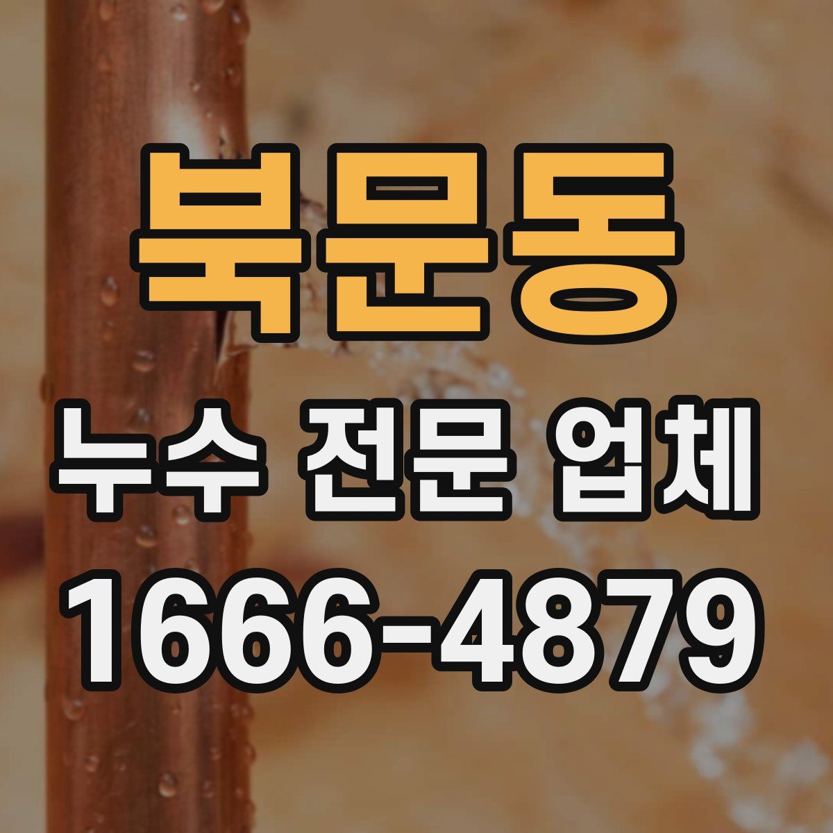 북문동 누수 전문 업체