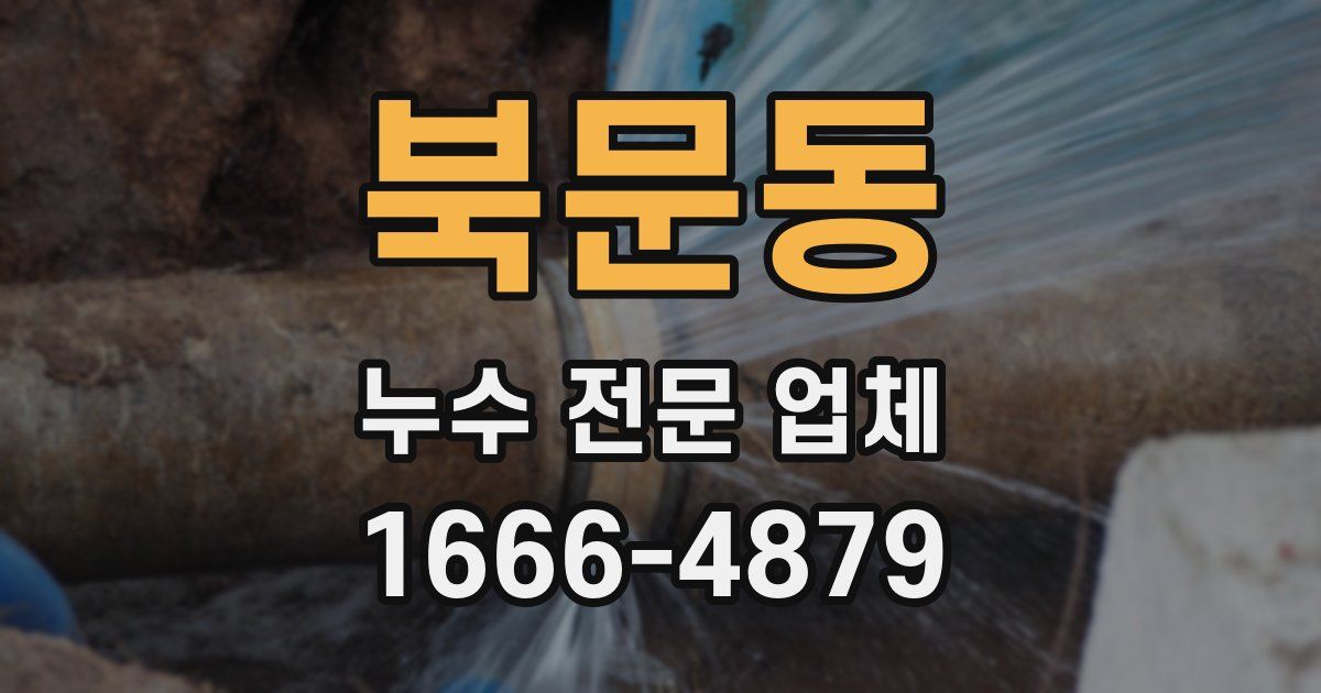 북문동 누수 전문 업체
