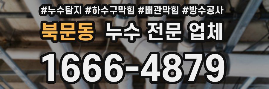 북문동 누수 전문 업체