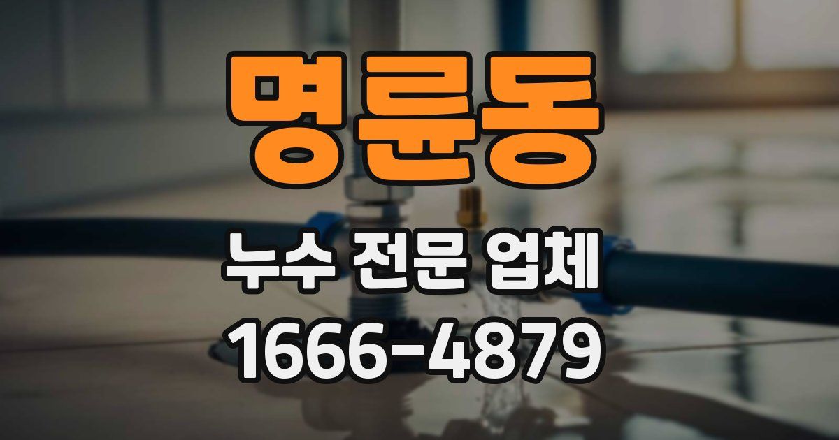 명륜동 누수 전문 업체