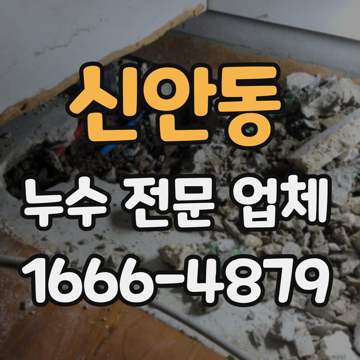 신안동 누수 전문 업체