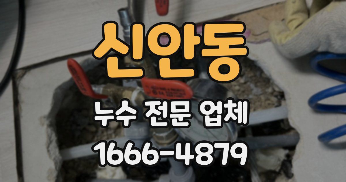 신안동 누수 전문 업체