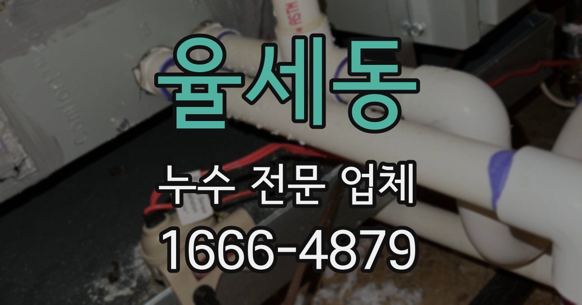 율세동 누수 전문 업체