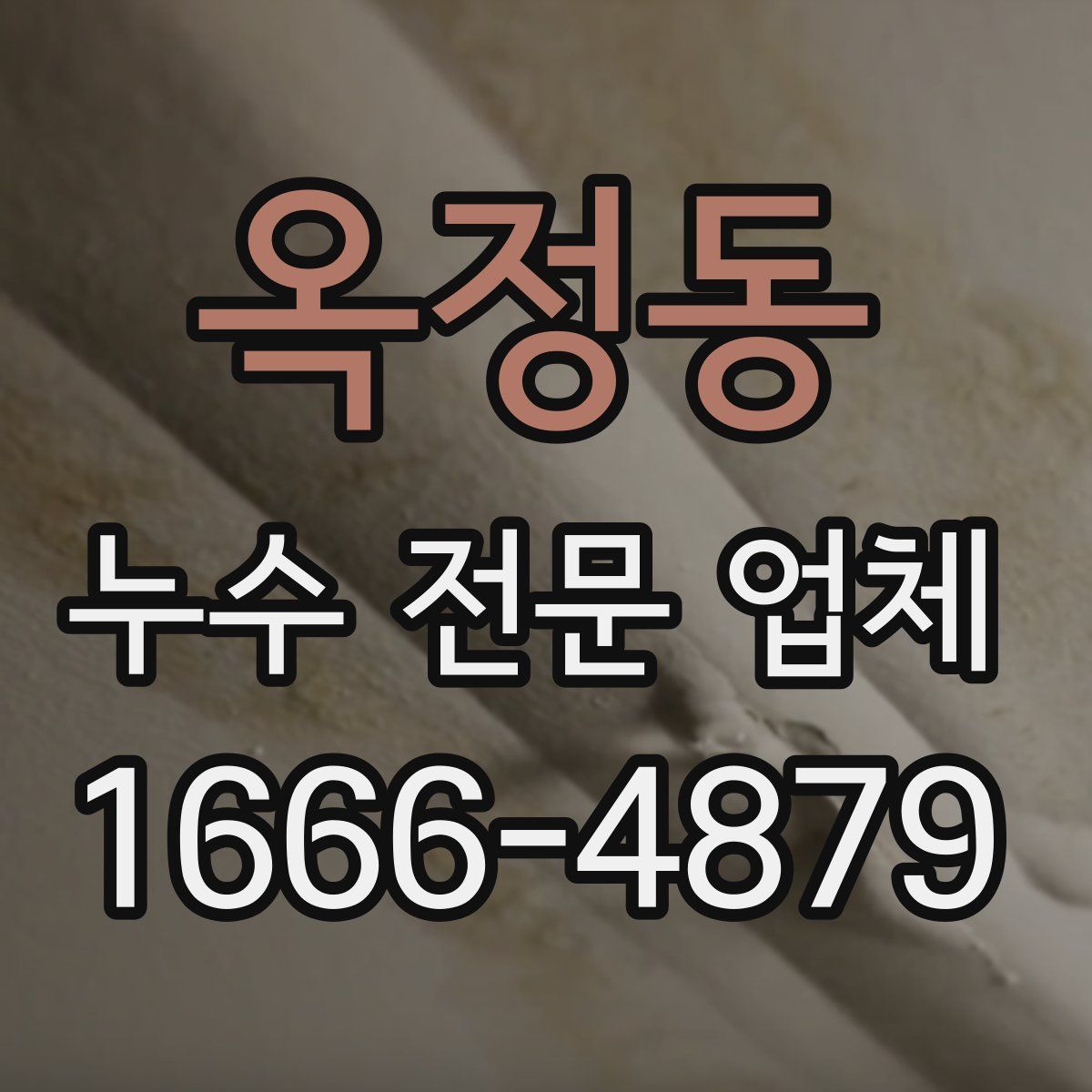 옥정동 누수 전문 업체
