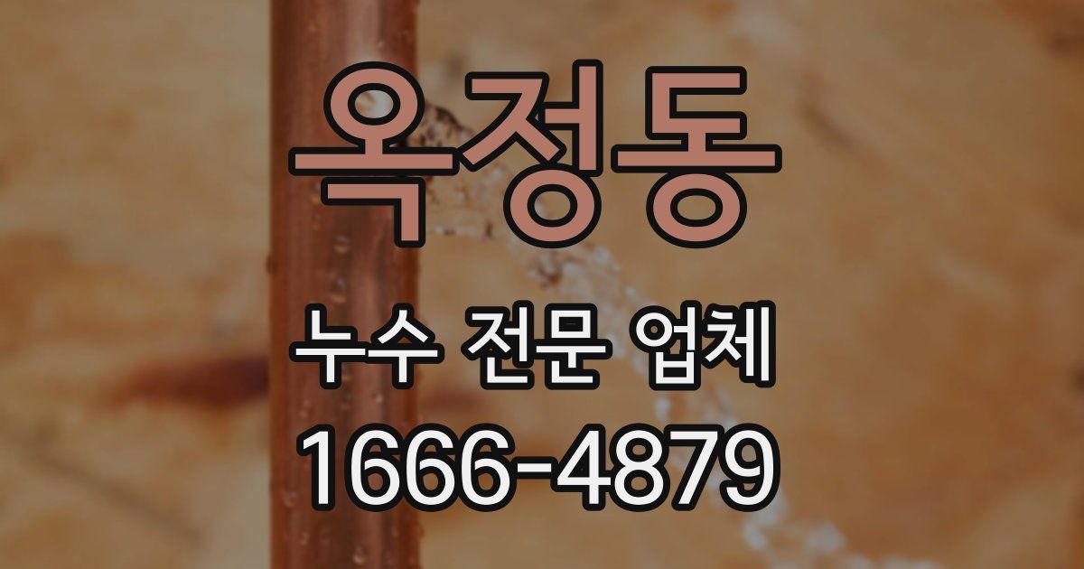 옥정동 누수 전문 업체