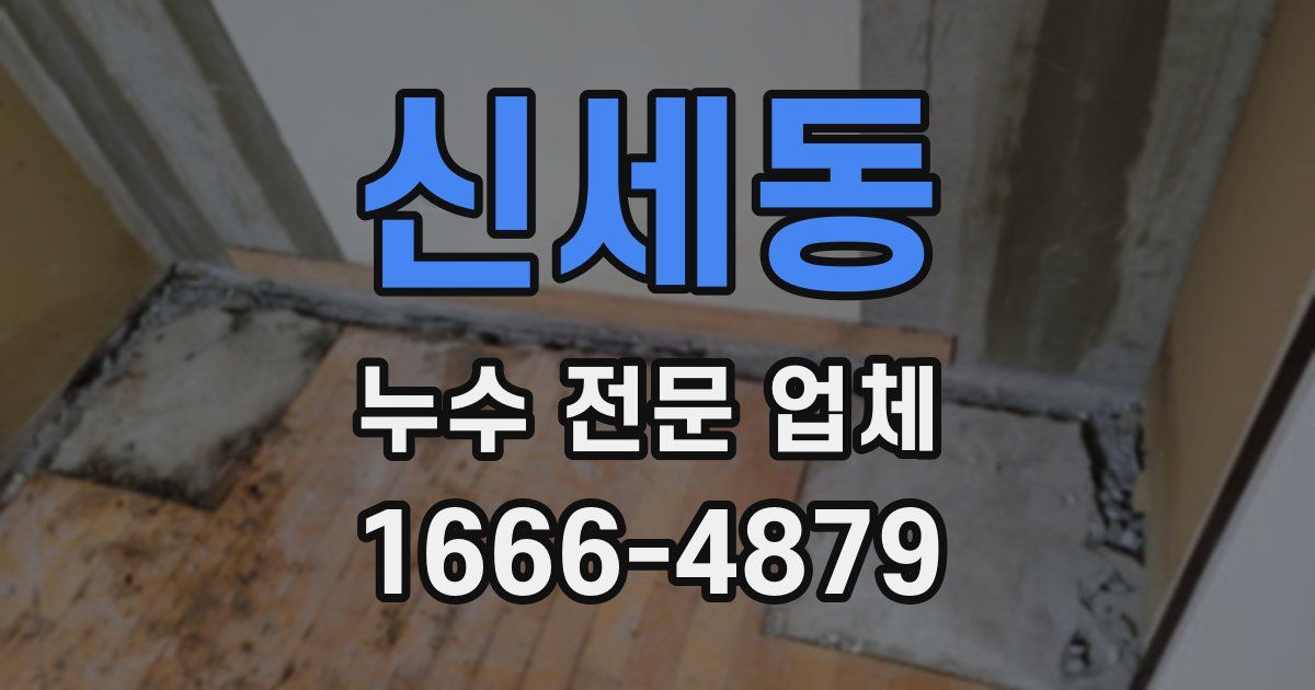 신세동 누수 전문 업체