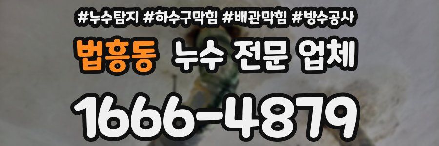 법흥동 누수 전문 업체