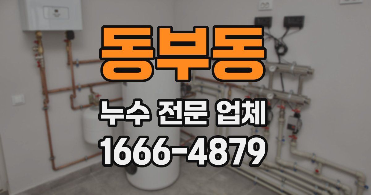 동부동 누수 전문 업체
