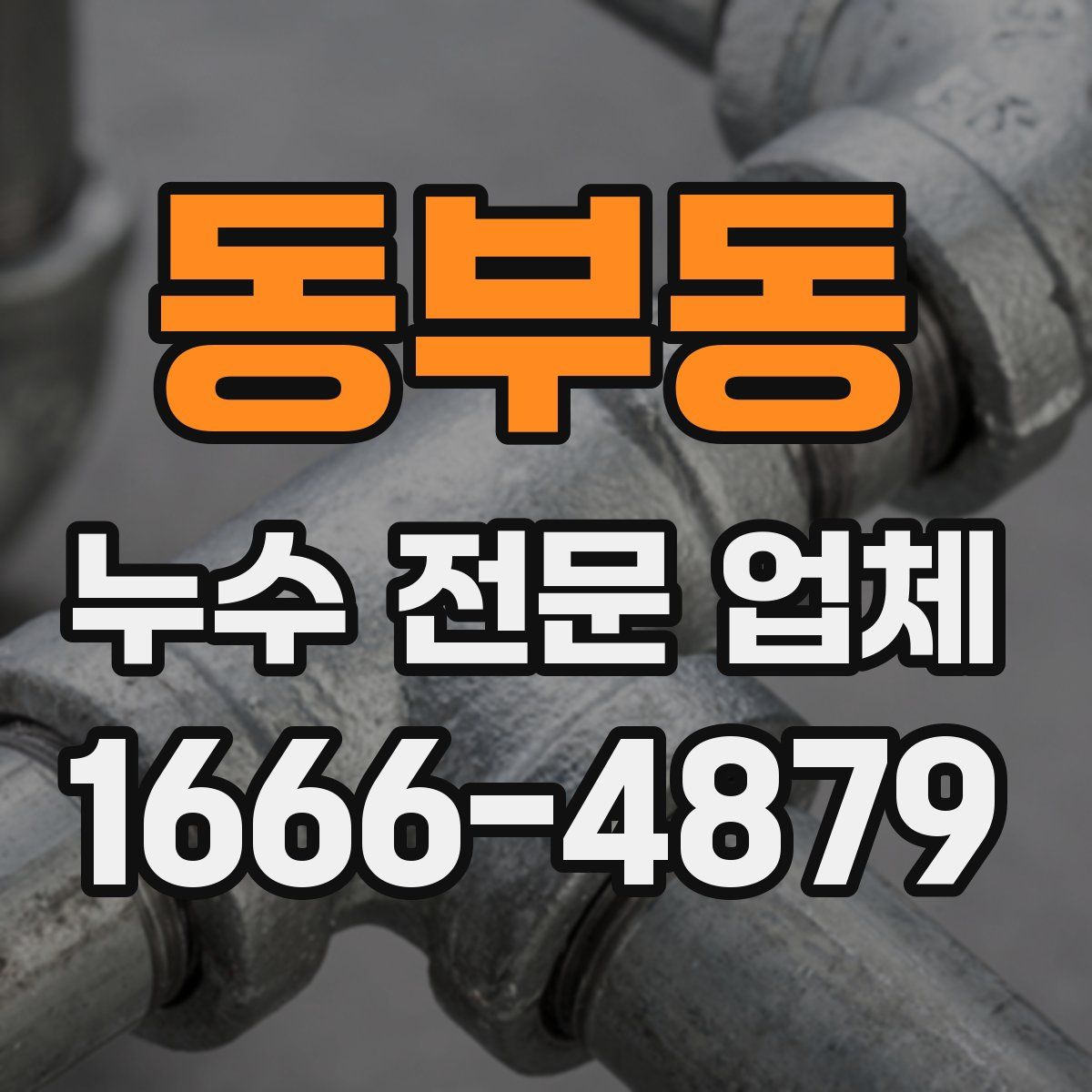 동부동 누수 전문 업체