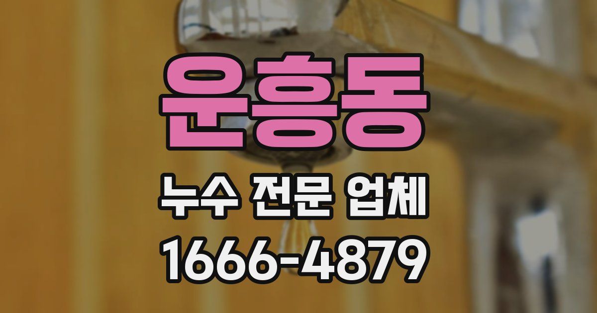 운흥동 누수 전문 업체