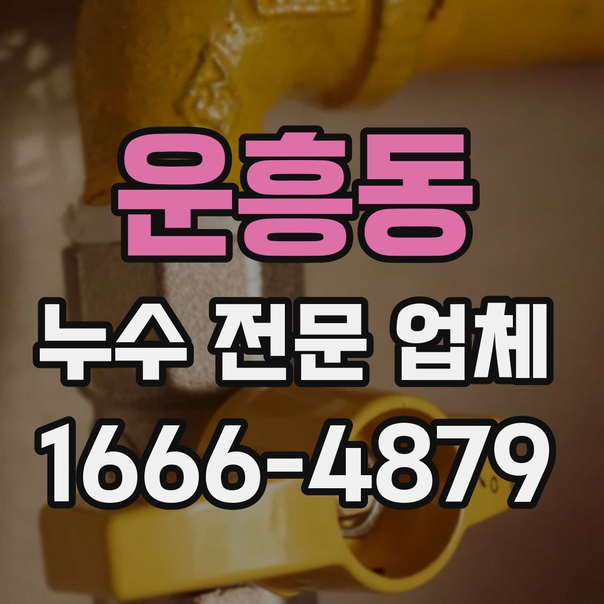 운흥동 누수 전문 업체