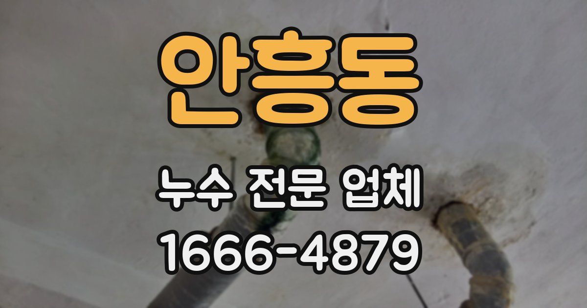 안흥동 누수 전문 업체