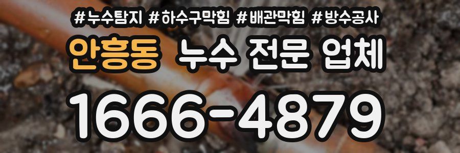 안흥동 누수 전문 업체