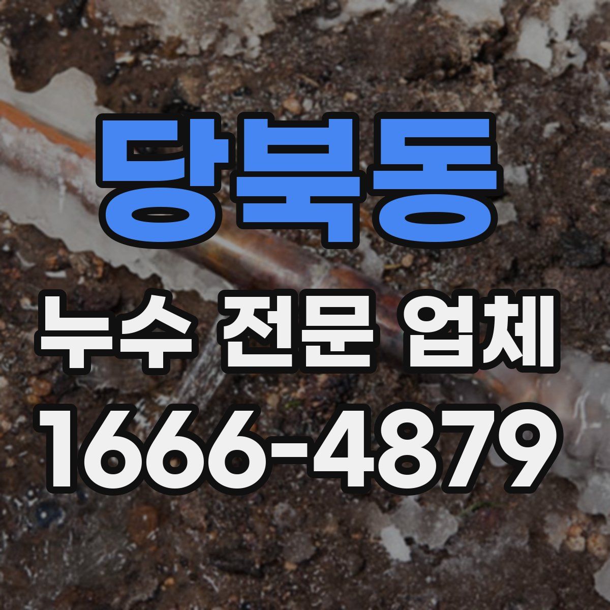 당북동 누수 전문 업체