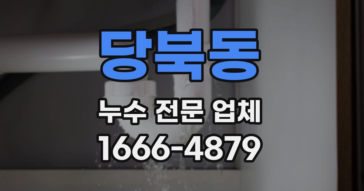 당북동 누수 전문 업체
