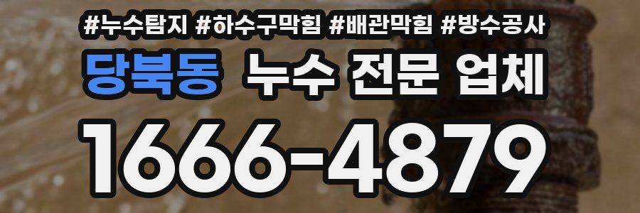 당북동 누수 전문 업체