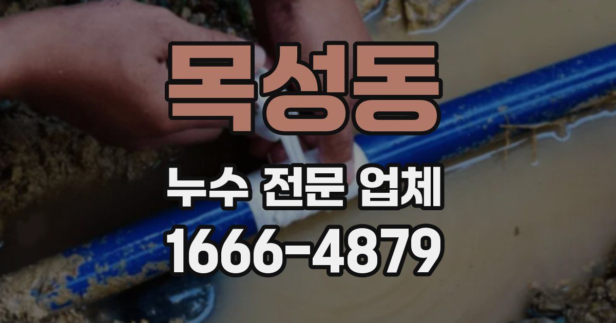 목성동 누수 전문 업체