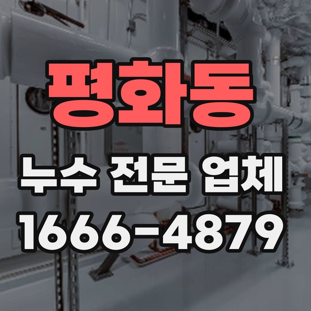 평화동 누수 전문 업체