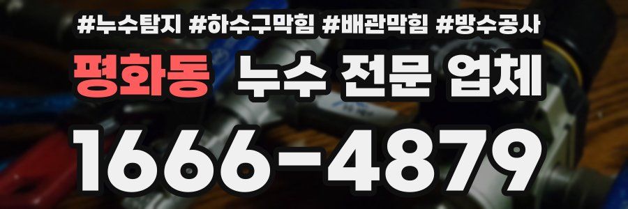평화동 누수 전문 업체