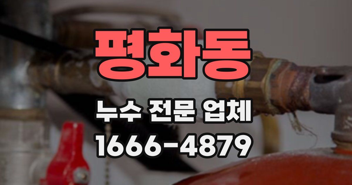 평화동 누수 전문 업체