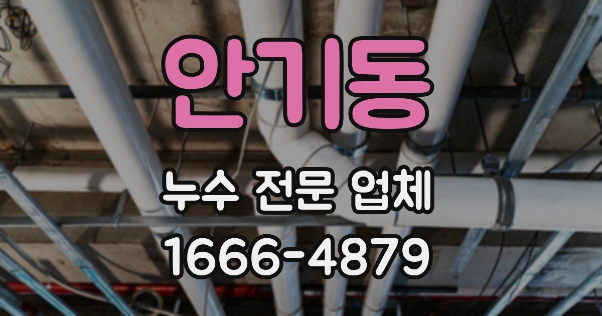 안기동 누수 전문 업체