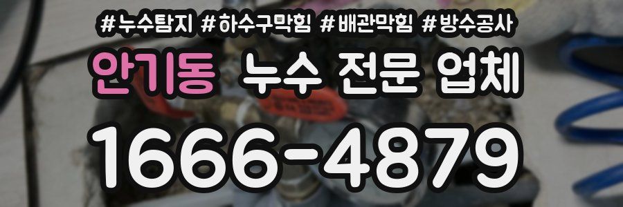 안기동 누수 전문 업체