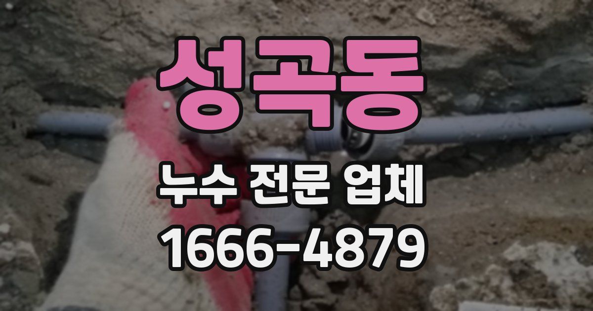 성곡동 누수 전문 업체