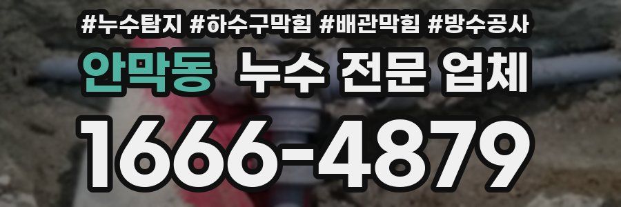 안막동 누수 전문 업체