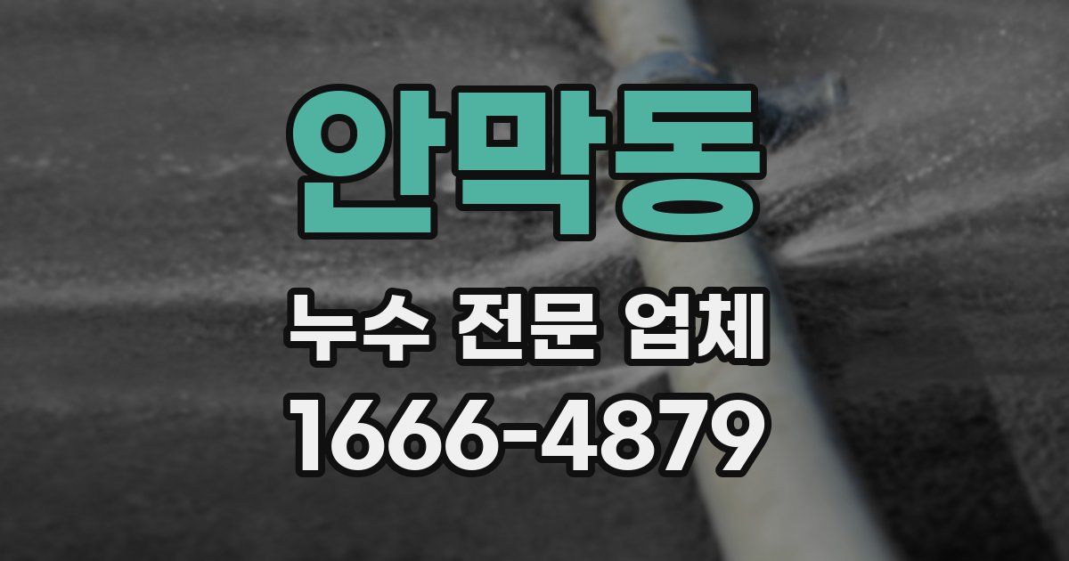 안막동 누수 전문 업체