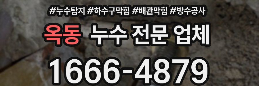 옥동 누수 전문 업체