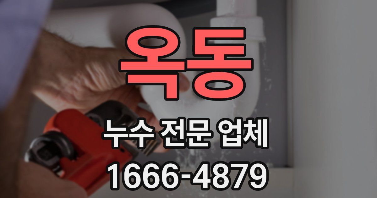옥동 누수 전문 업체