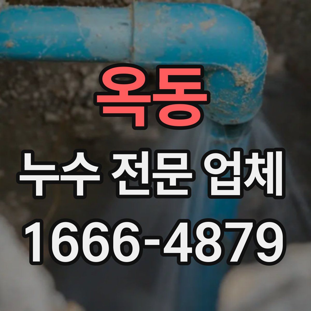 옥동 누수 전문 업체