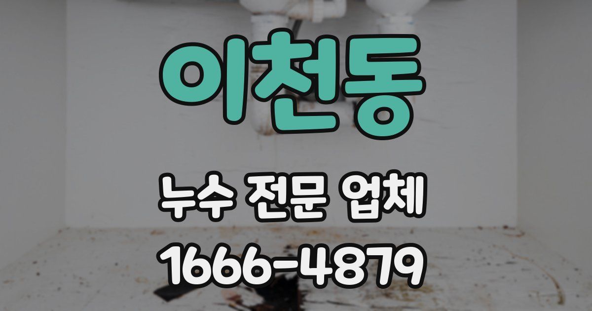 이천동 누수 전문 업체