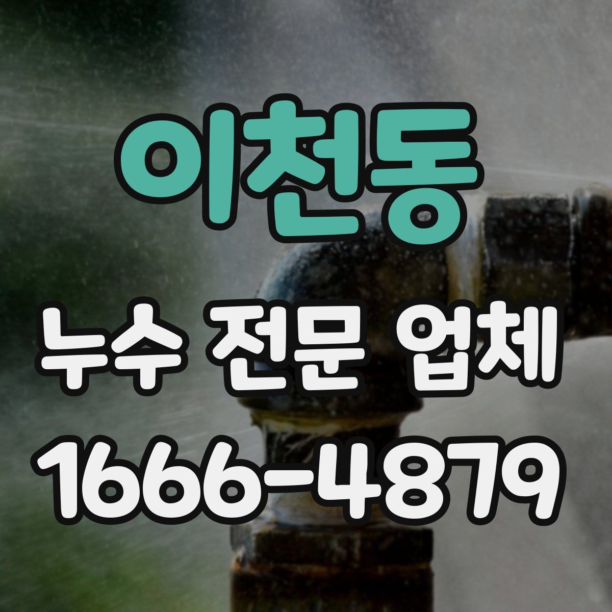 이천동 누수 전문 업체