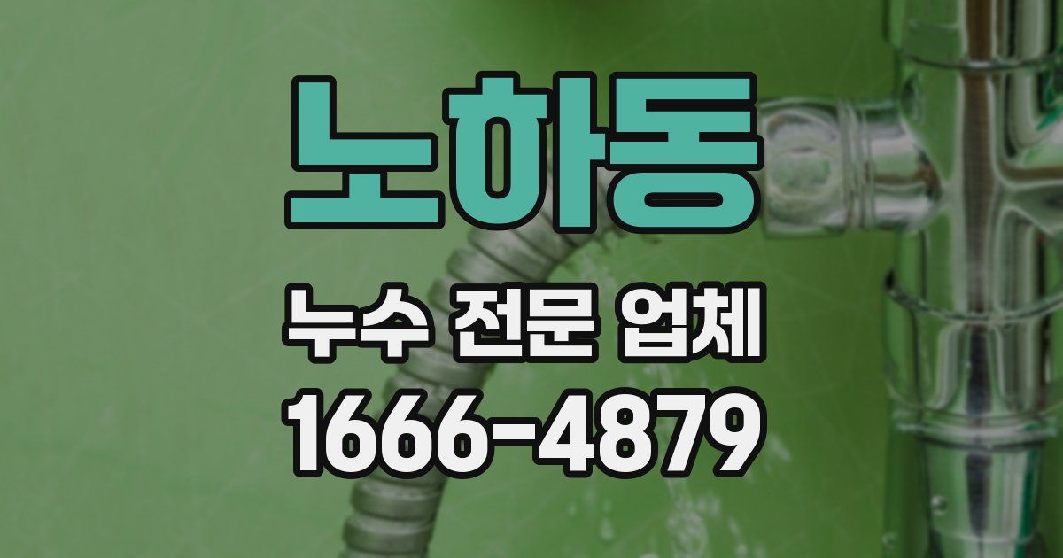 노하동 누수 전문 업체