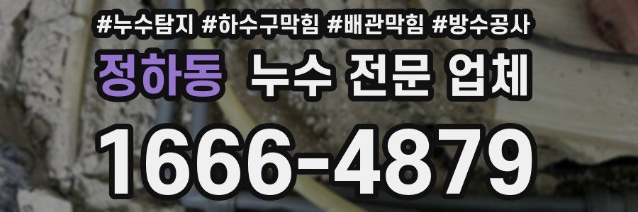 정하동 누수 전문 업체
