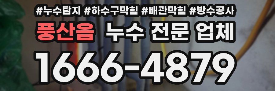 풍산읍 누수 전문 업체