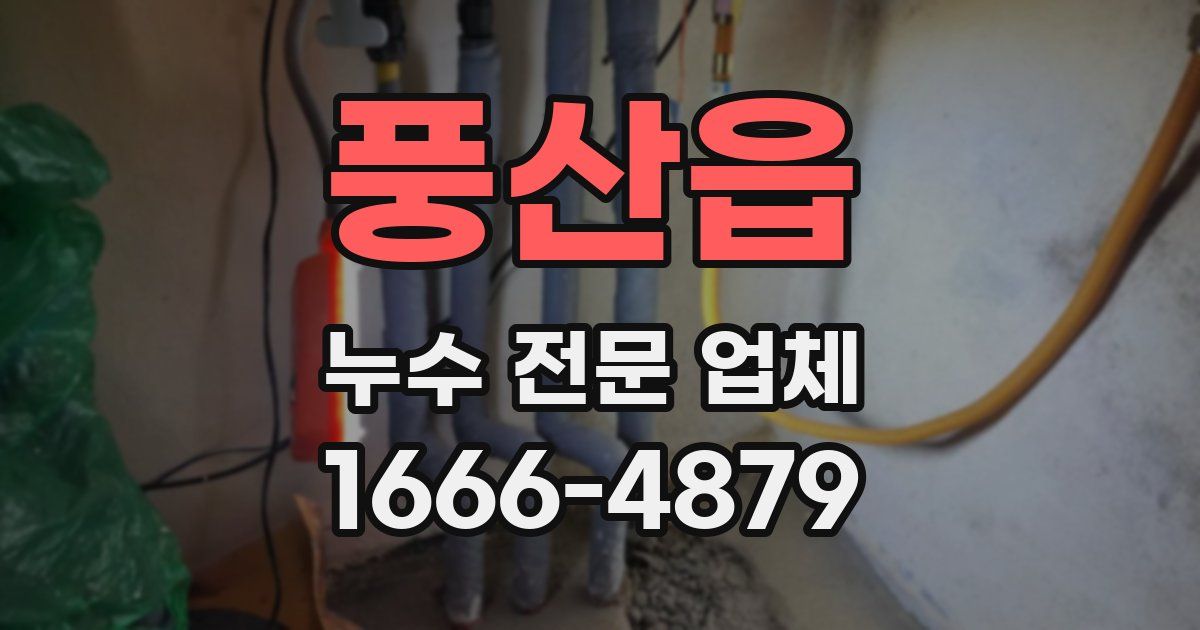 풍산읍 누수 전문 업체