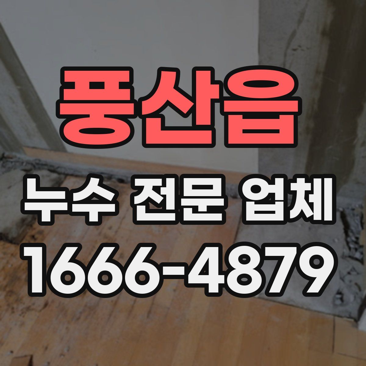 풍산읍 누수 전문 업체
