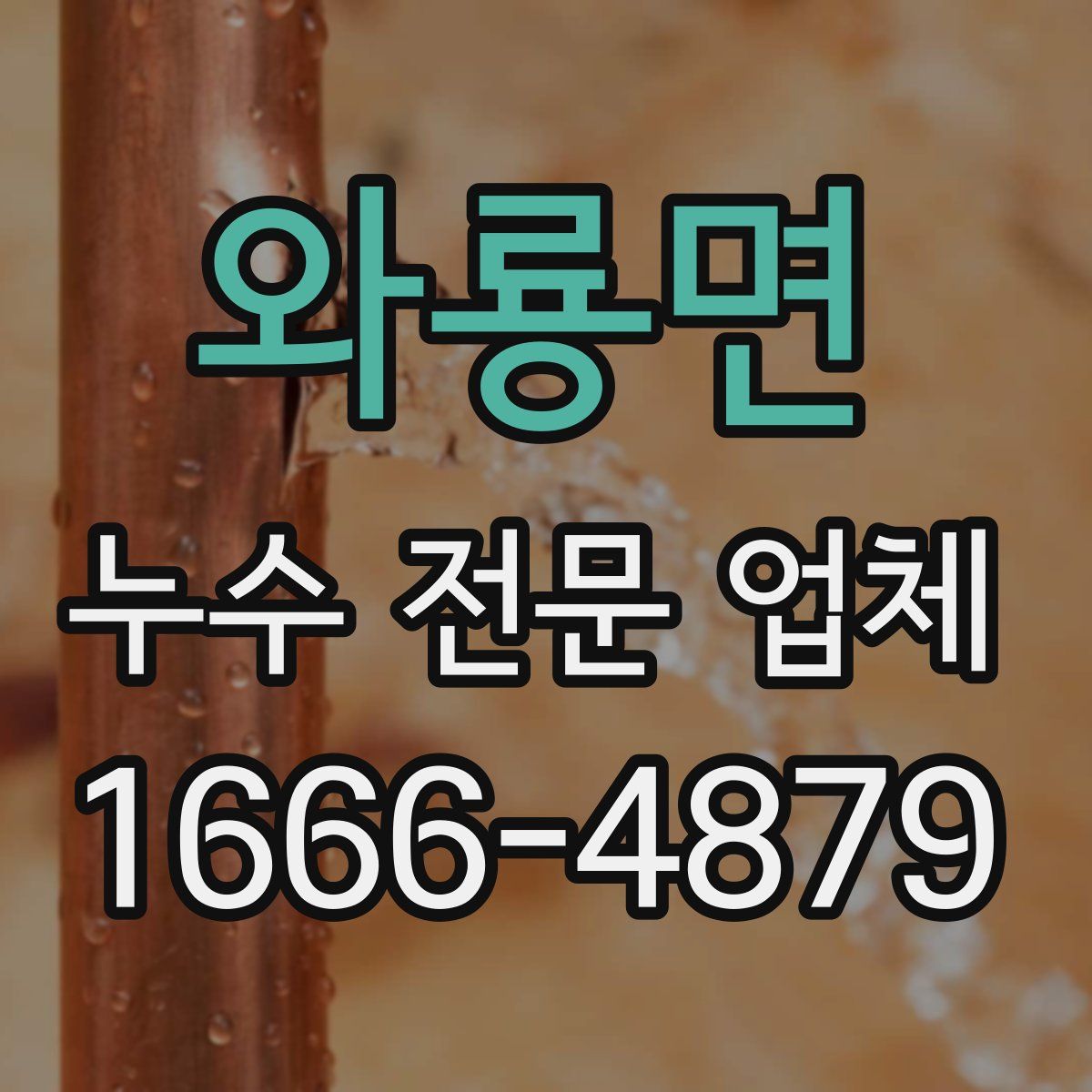 와룡면 누수 전문 업체