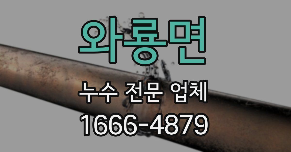 와룡면 누수 전문 업체