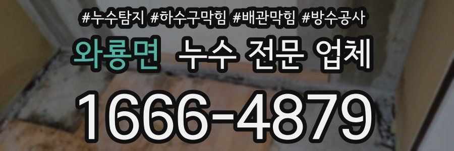 와룡면 누수 전문 업체