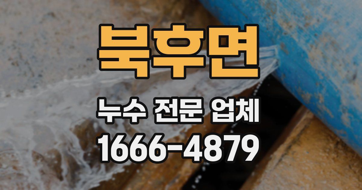 북후면 누수 전문 업체