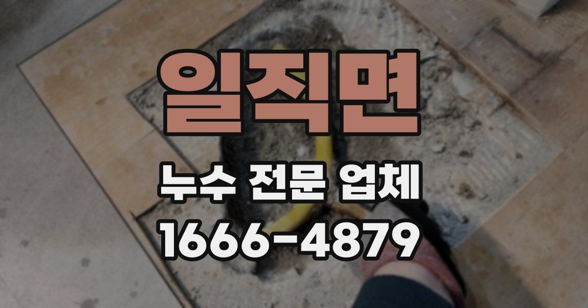 일직면 누수 전문 업체