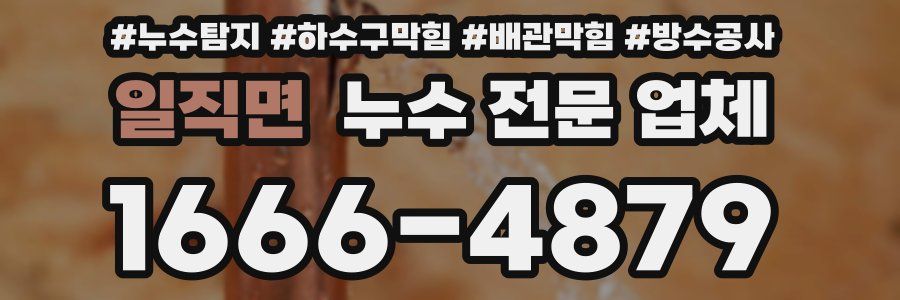 일직면 누수 전문 업체