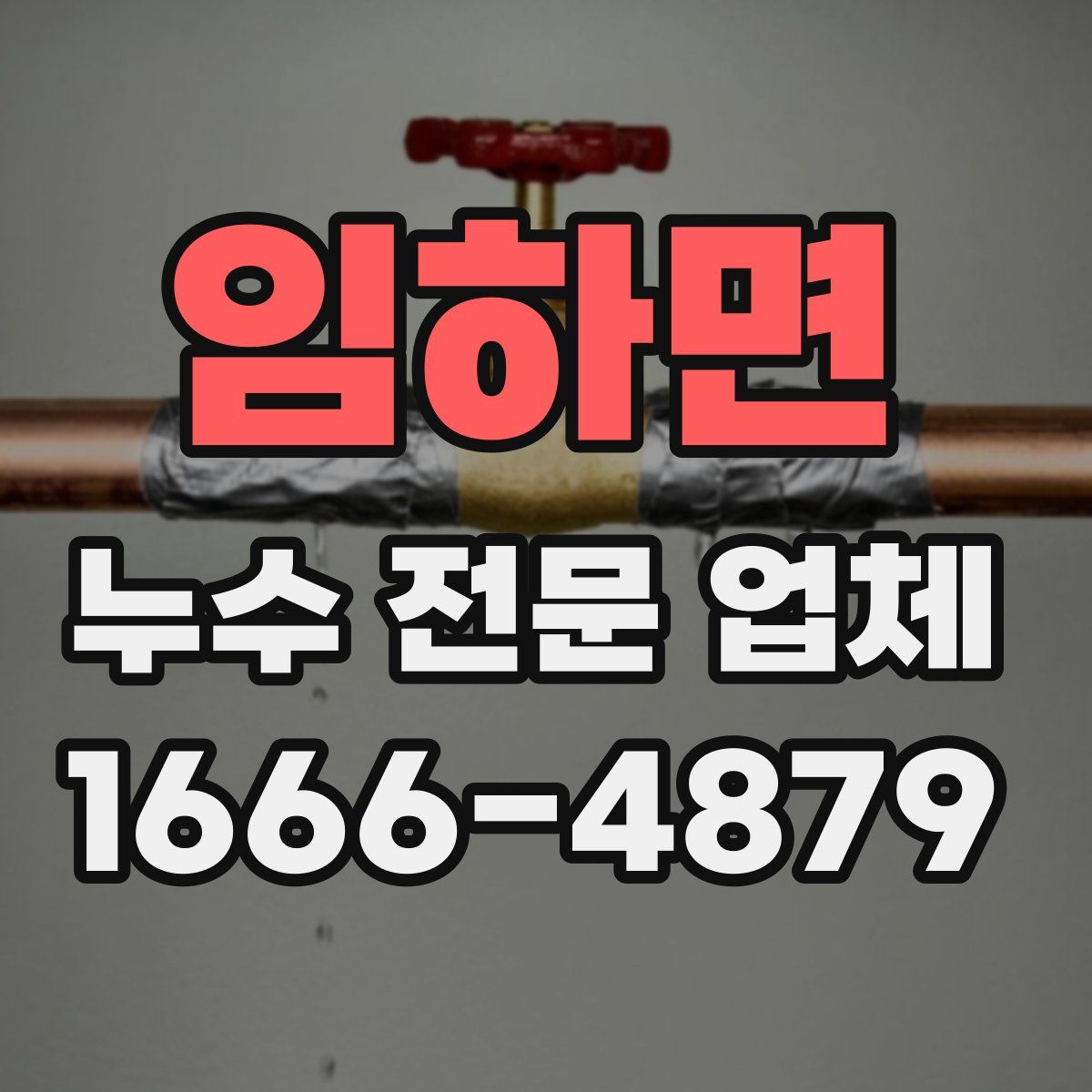 임하면 누수 전문 업체