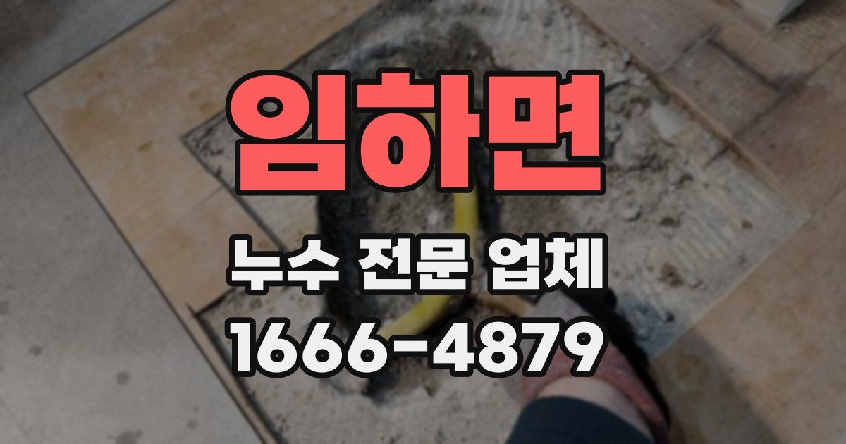 임하면 누수 전문 업체